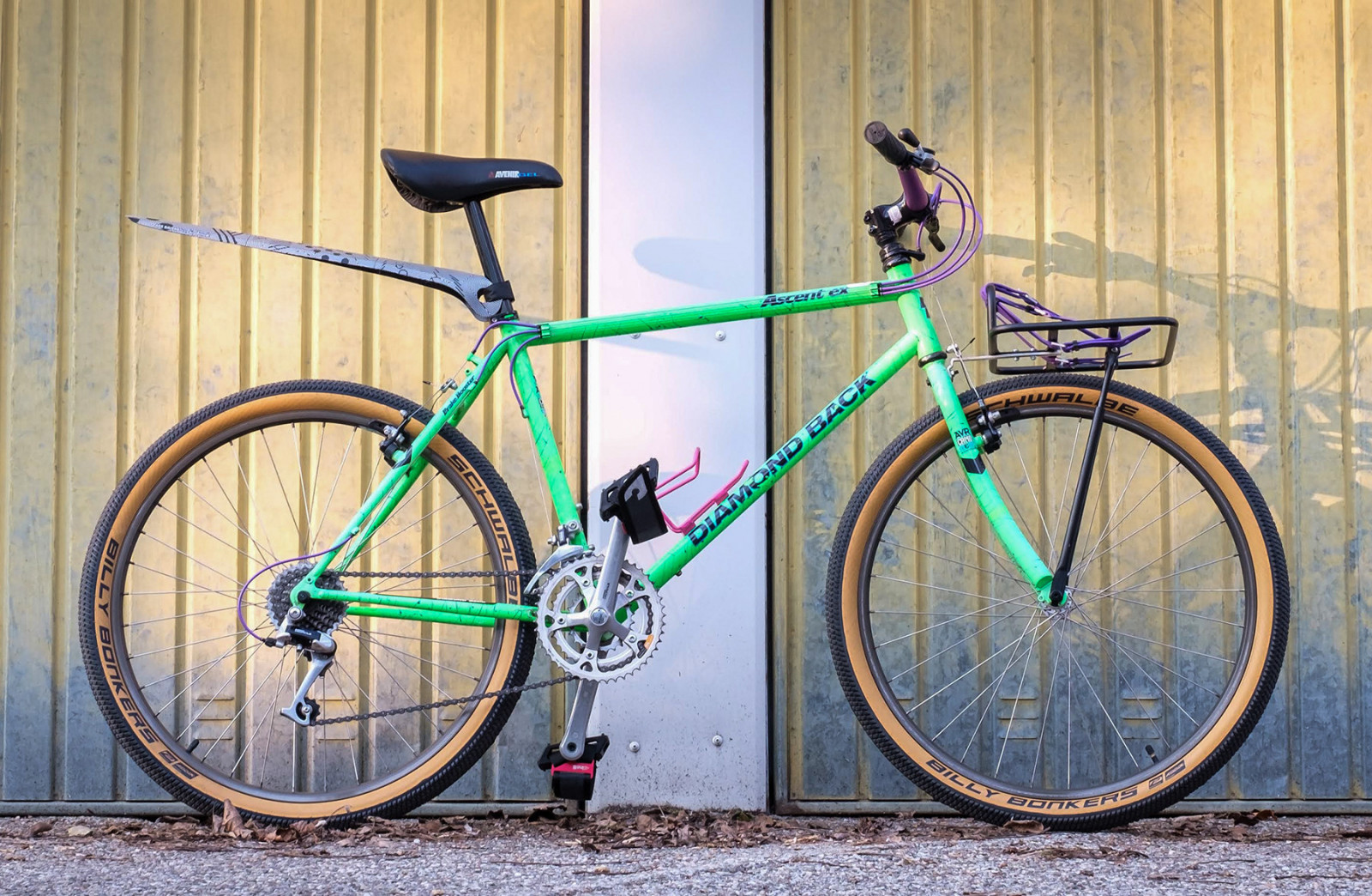 diamondback ascent ex 1992